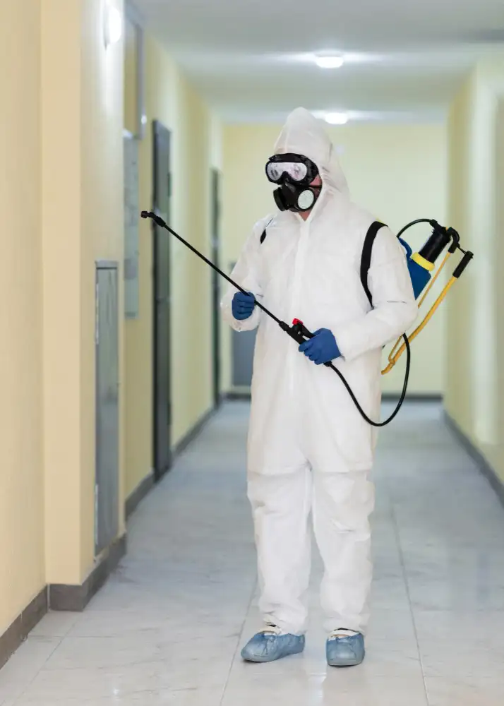 One Accountable Partner for Every Pest Problem in Dubai