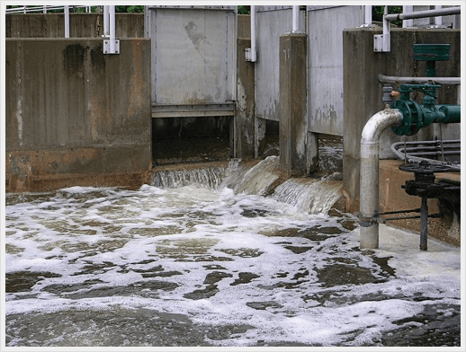 Domestic Sewage & Septage