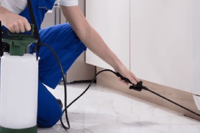 Residential Pest Control Services in Dubai | 24/7 Certified Home Protection